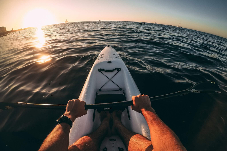 Città del Capo: tour in kayak della vita marina dal V&amp;A WaterfrontKayak con i delfini nel cuore di Città del Capo