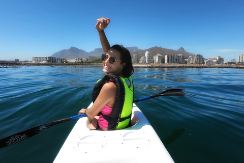 Cape Town: excursion en kayak sur la vie marine depuis le front de mer V&A