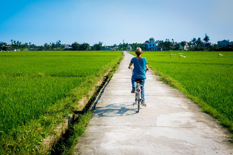 Z portu Chan May: Da Nang i Hoi An Private Day TourUsługa portowa nie jest wliczona w cenę