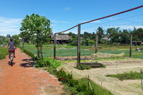 Z portu Chan May: Da Nang i Hoi An Private Day TourUsługa portowa nie jest wliczona w cenę