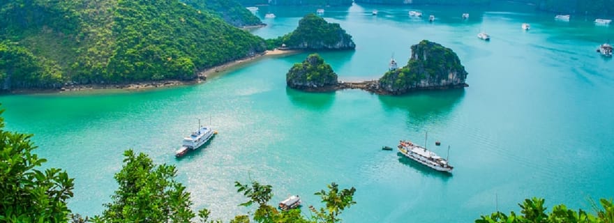 Excursion à terre : Excursion d'une journée pour la croisière dans la baie d'Halong au départ du port d'Halong.