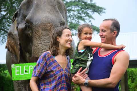 Chiang Mai: Elephant Care at Elephant Retirement Park