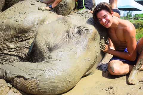 Chiang Mai: Elephant Care at Elephant Retirement Park