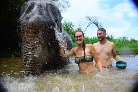 Chiang Mai: Elephant Care at Elephant Retirement Park