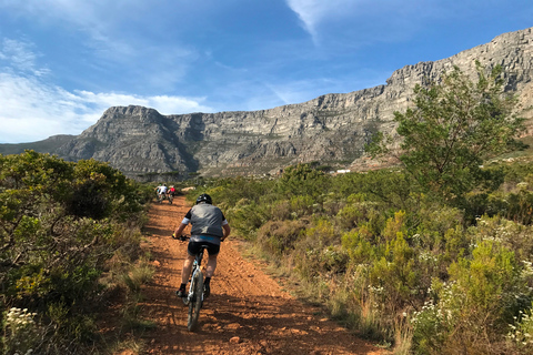 Città del Capo: tour in mountain bike su Table Mountain