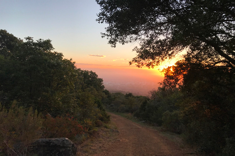 Cape Town: Mountain Biking Trip on Table Mountain