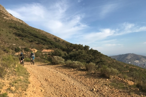 Ciudad del Cabo: viaje en bicicleta de montaña en Table Mountain