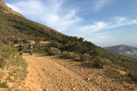 Kaapstad: mountainbiken op de Tafelberg