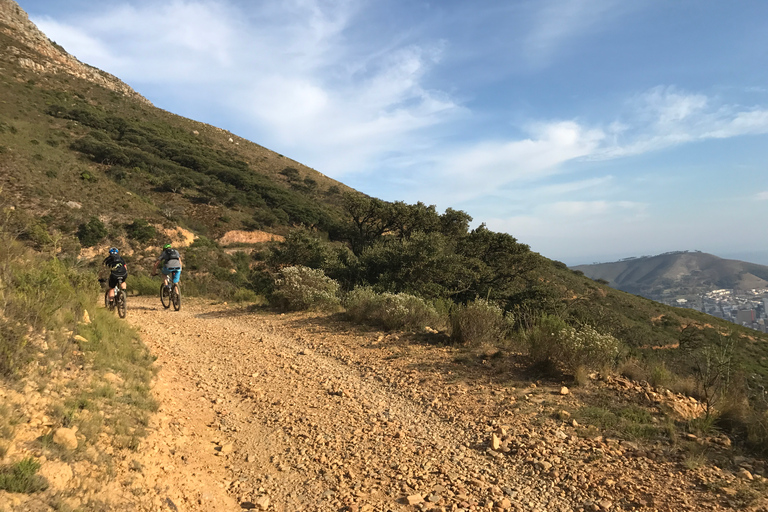 Le Cap: randonnée à vélo sur la montagne de la Table