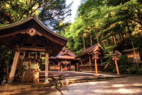 Fuji: kultur, skog och utsikt – privat skräddarsydd turFuji-kultur, skog och naturskön utsikt: Privat skräddarsydd tur