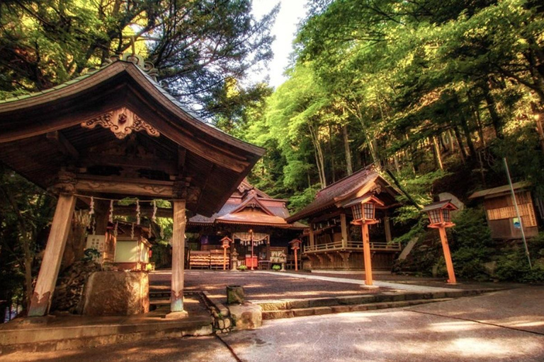 Fuji: kultur, skog och utsikt – privat skräddarsydd turFuji-kultur, skog och naturskön utsikt: Privat skräddarsydd tur