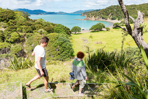 Z Paihia: Rejs żaglówką po wyspach z piknikowym lunchemZ Paihia: Rejs żaglówką z piknikiem na wyspie Hopper