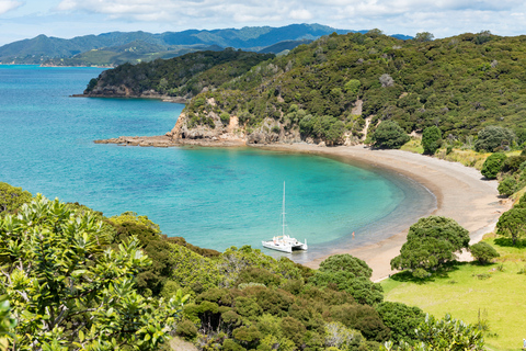 Ab Paihia: Inselhopping-Segeltour mit Picknick-MittagessenAb Paihia: Inselhüpfer-Segelkreuzfahrt mit Picknick-Mittagessen