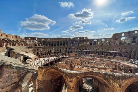 Roma: visita guiada al Coliseo, el monte Palatino y el Foro RomanoTour francés