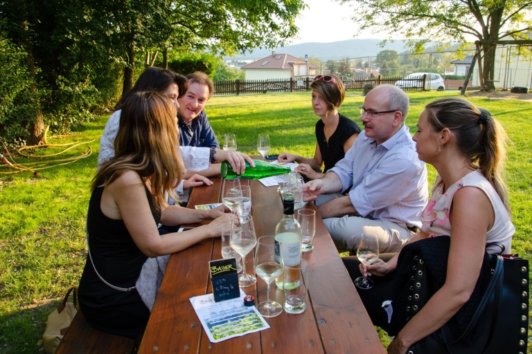 De Vienne: visite d'une demi-journée de la campagne viticole avec repasVisite d'une demi-journée de la campagne viticole avec dîner