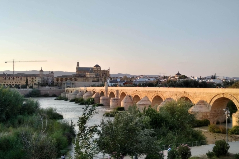 Recorrido a pie por los lugares destacados de Córdoba