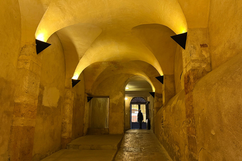 Intro to Lyon - Dynamic Walking Tours (Local Guide)