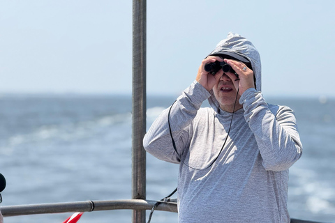 NYC Skyline &amp; Statue of Liberty Sightseeing Cruise90 minuten durende rondleiding