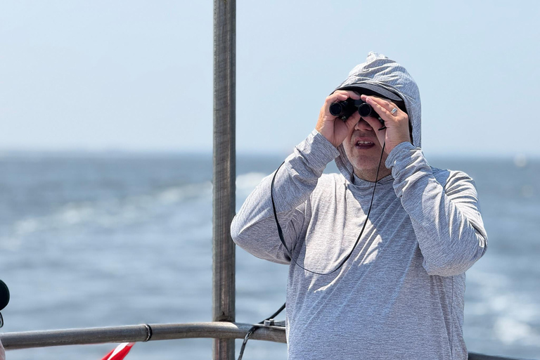 NYC Skyline &amp; Statue of Liberty Sightseeing Cruise90 minuten durende rondleiding