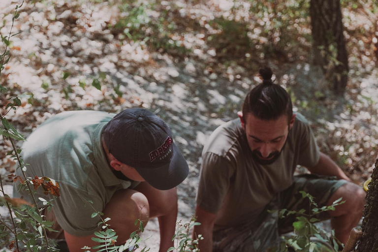 Tuscany: Volterra Truffle Hunting