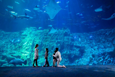 Hong Kong: Toegangsbewijs Oceaanpark