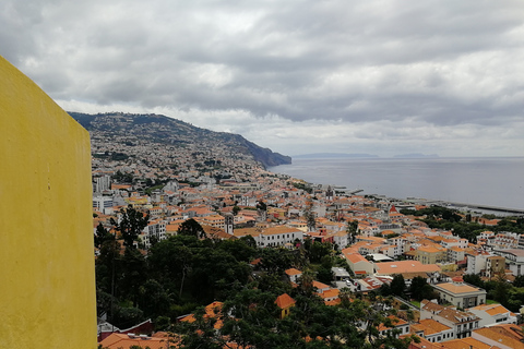 Funchal: Stadsrundtur i en TukxiRundtur på engelska, spanska eller portugisiska