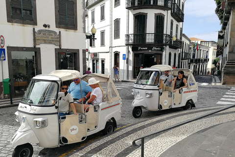 Funchal: Stadtrundfahrt im Tukxi