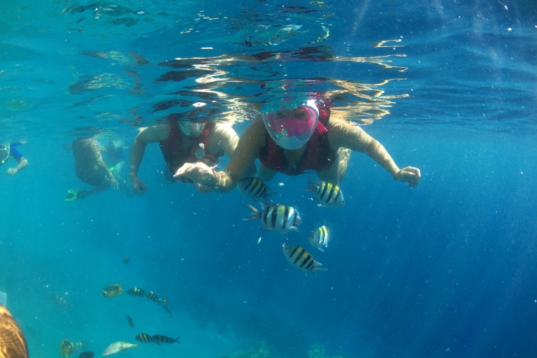 Van Hurghada: Carnival Sharm El Arab Snorkeling Trip