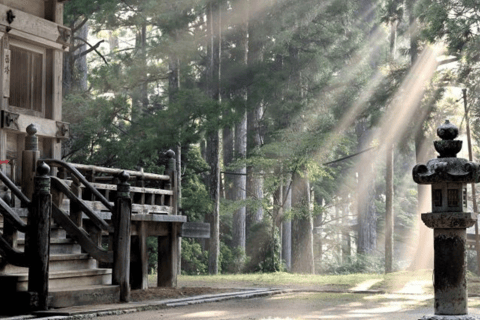 Von Tokio aus: Nikko Private Tour im luxuriösen Prado Niedrigster Preis