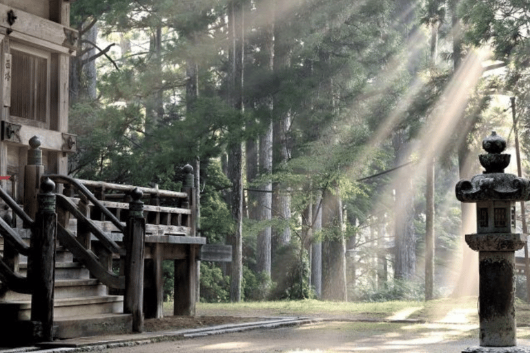 De Tóquio: Nikko Tour Particular em Prado de Luxo Preço mais baixo