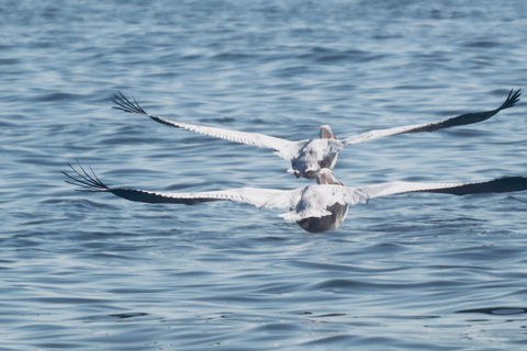 10 Days Taste of Namibia | Auto Tour Camping