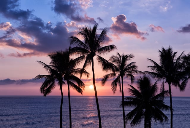 Oahu: Excursión fotográfica de medio día al atardecer desde Waikiki