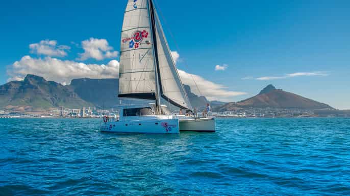 cape town waterfront and bay sailing trip