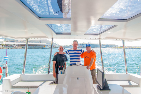 Paseo marítimo y bahía de Ciudad del Cabo: viaje en velero