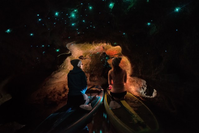 Visit Paddle Board Glow Worm Tour in Auckland