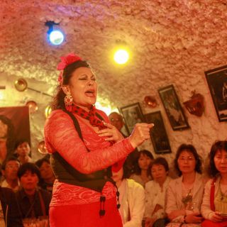 Sacromonte : spectacle de flamenco à Cuevas Los Tarantos