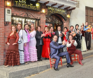 Granada: Sacromonte Caves Flamenco Show with Dinner