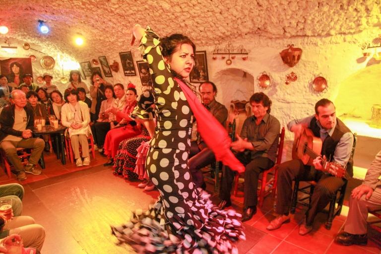 Granada: Sacromonte Caves Flamenco Show with Dinner