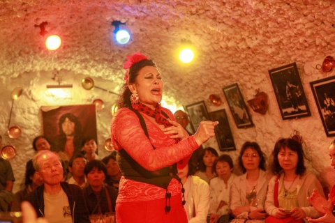 Granada: Flamenco-Show in den Sacromonte-Höhlen mit Abendessen