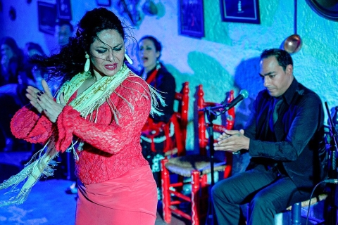 Granada: Flamenco-Show in den Sacromonte-Höhlen mit Abendessen