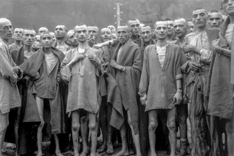 Konzentrationslager Stutthof: Private TourPrivattour auf Italienisch, Französisch, Spanisch, Russisch