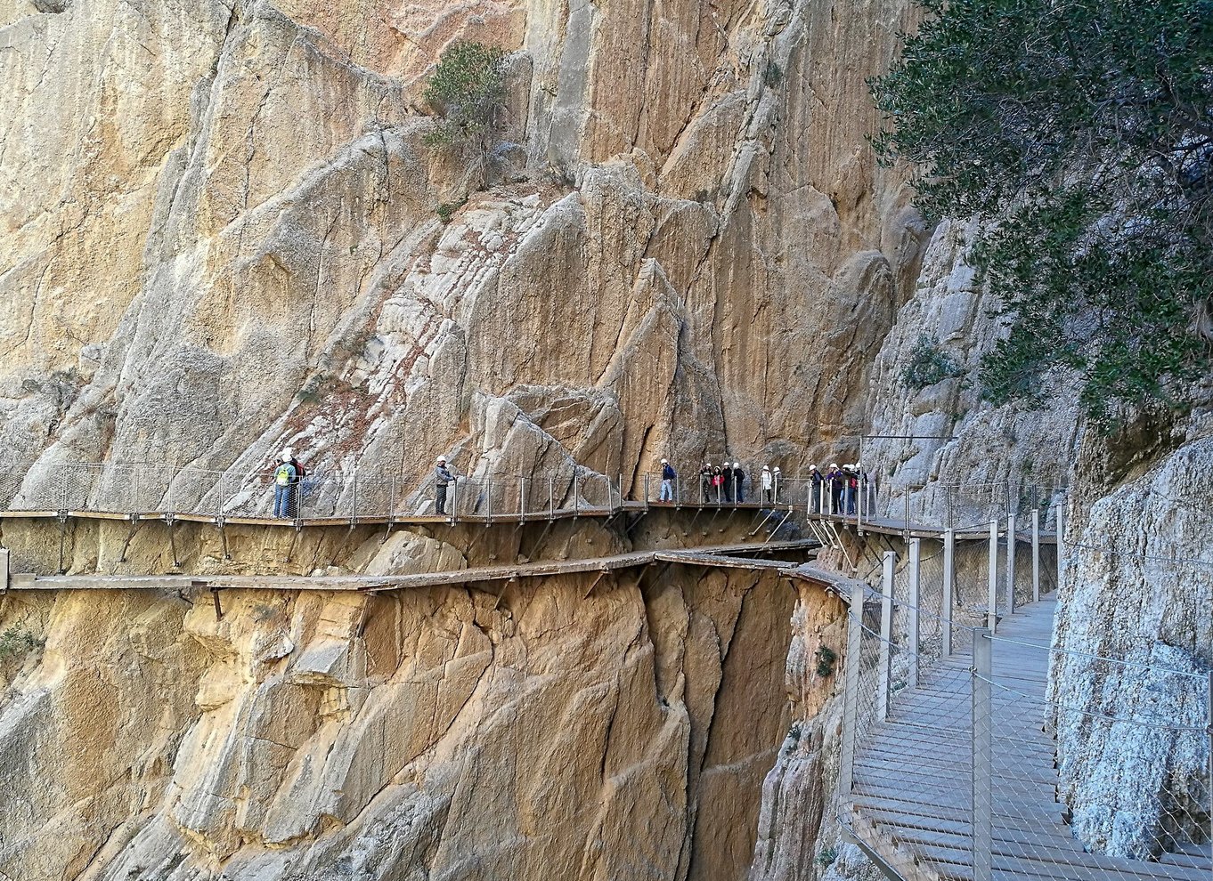 Fra Sevilla: Dagsudflugt med vandretur på Caminito del Rey