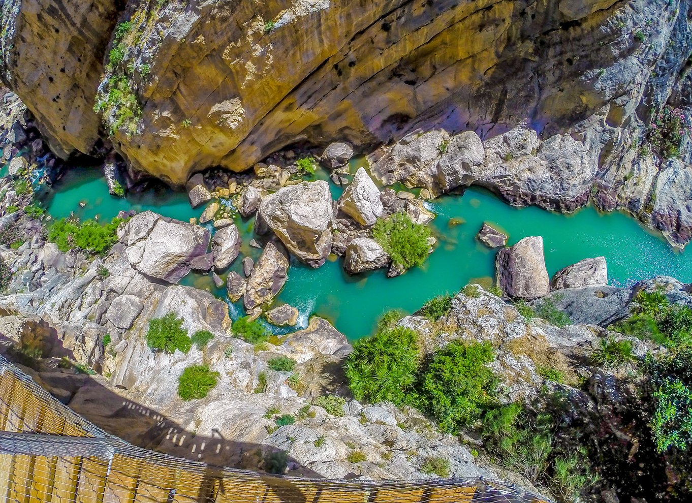 Fra Sevilla: Dagsudflugt med vandretur på Caminito del Rey