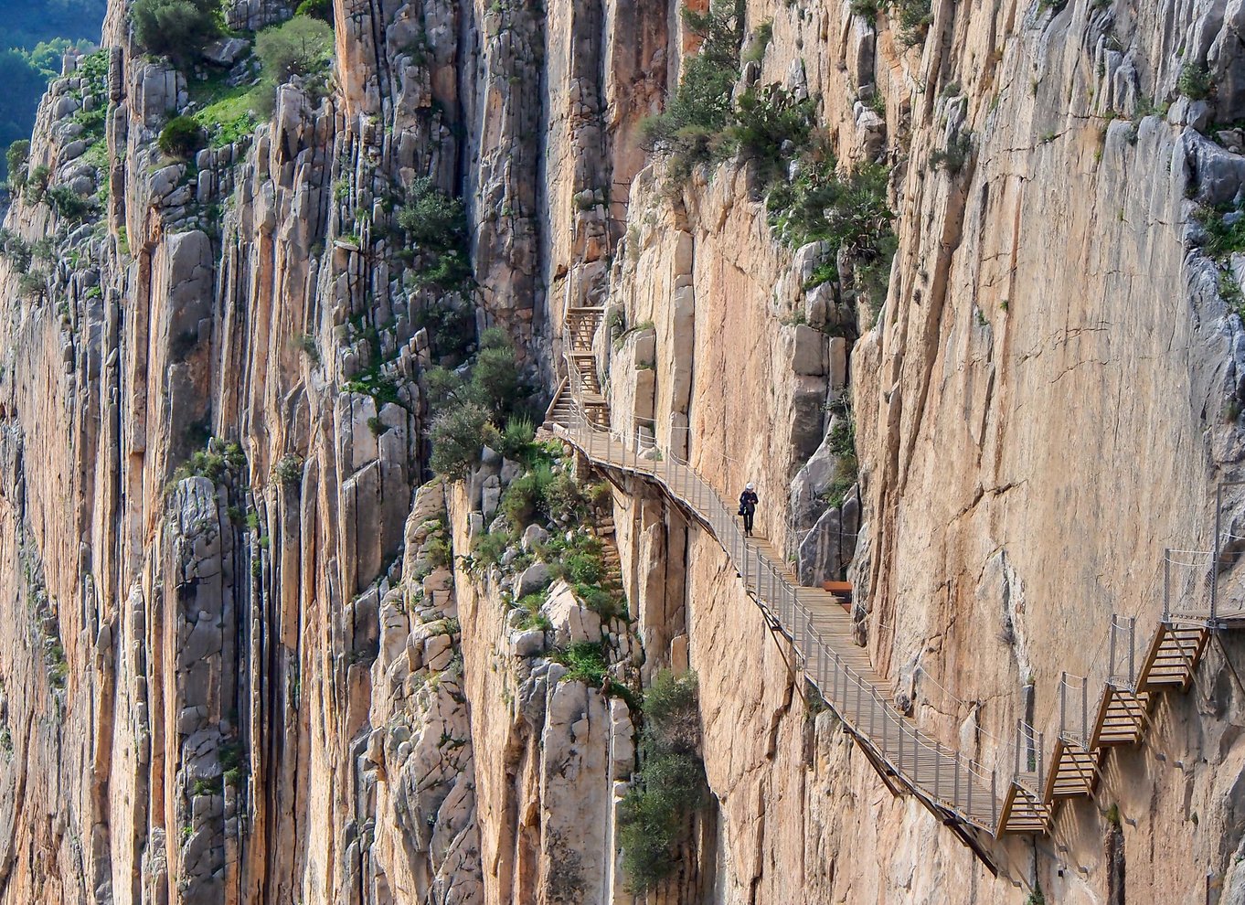 Fra Sevilla: Dagsudflugt med vandretur på Caminito del Rey