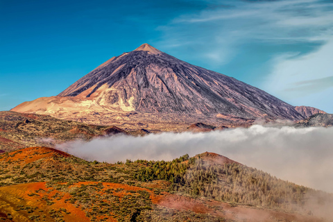 Desde Tenerife Sur: Excursión de un día al Teide y TeleféricoTenerife: tour de senderismo en el Teide con teleférico