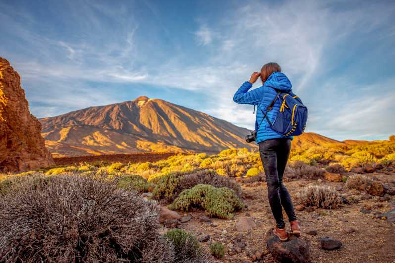 Teide: 6-timers til toppen med vandring og | GetYourGuide