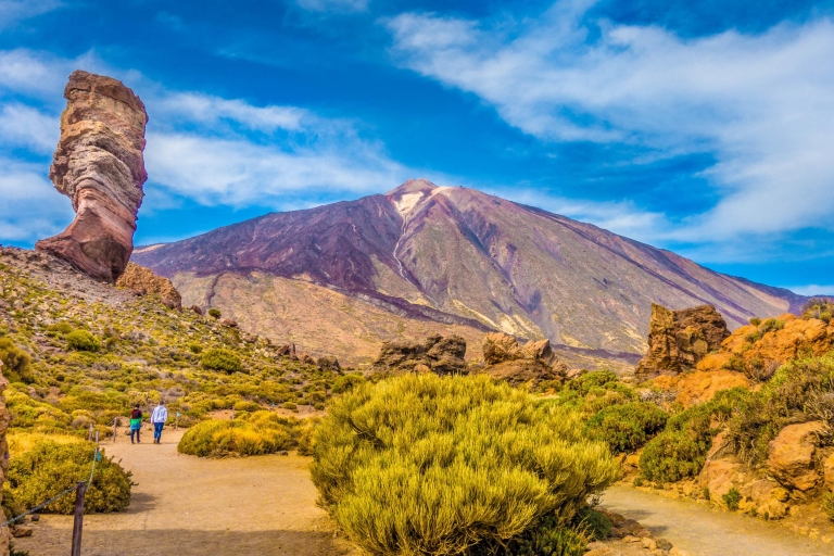 Desde Tenerife Sur: Excursión de un día al Teide y TeleféricoTenerife: tour de senderismo en el Teide con teleférico