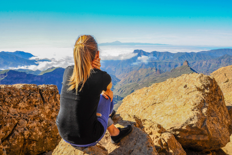 Desde Tenerife Sur: Excursión de un día al Teide y TeleféricoTenerife: tour de senderismo en el Teide con teleférico