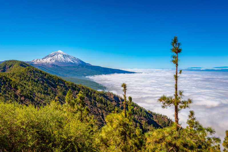 Abe Faktura opfindelse Teide: 6-timers tur til toppen med vandring og svævebane | GetYourGuide