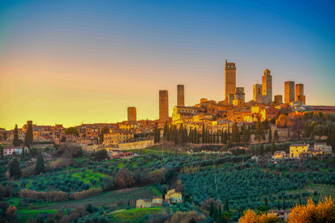 Desde Florencia: Pisa, Siena y San Gimignano con almuerzoGrupo completo en francés con almuerzo